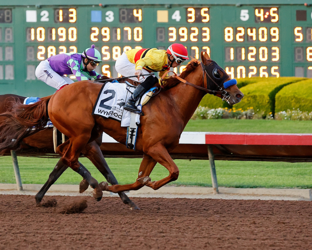 Meet the Contenders 800,000 Grade 3 Southwest Stakes at Oaklawn